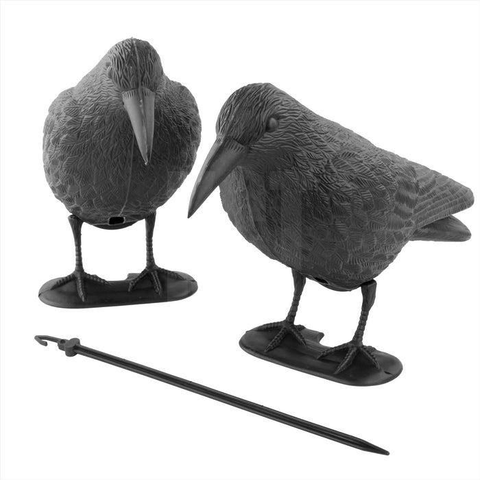 KCT Decoy Crow Garden Bird Scarer