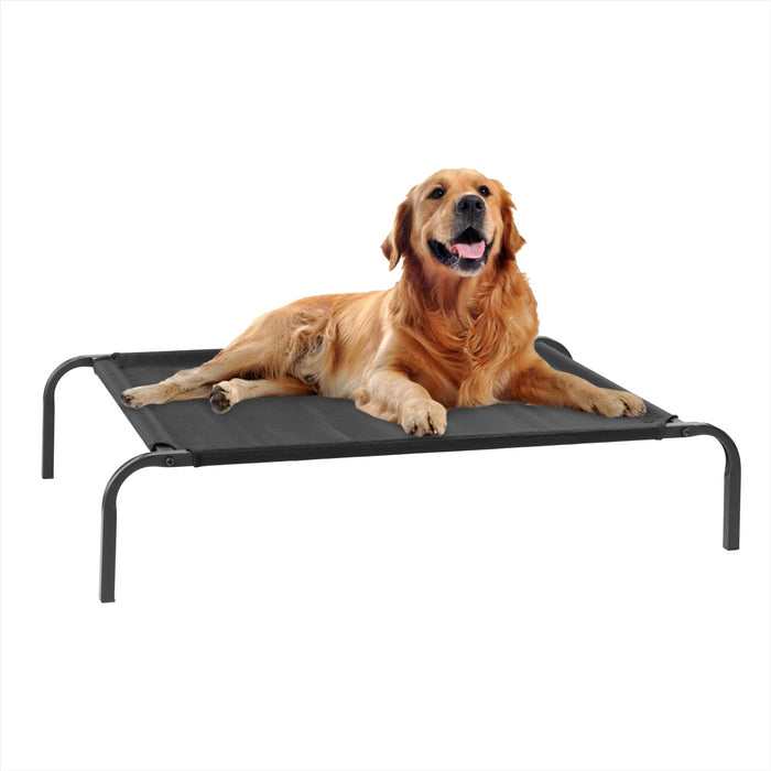 Elevated dog hot sale bed