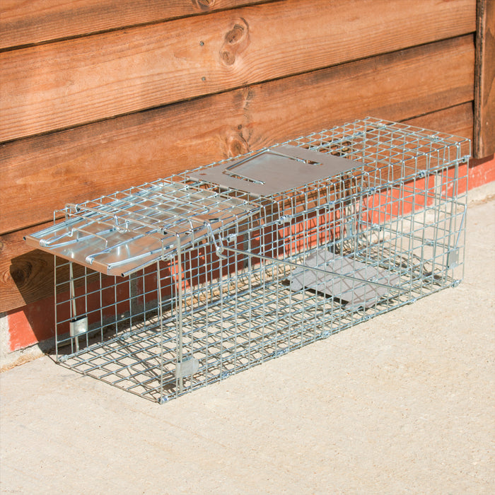 2 x Squirrel/ Rat Trap, catch-alive. Unique to us, made in the UK, safe to  use
