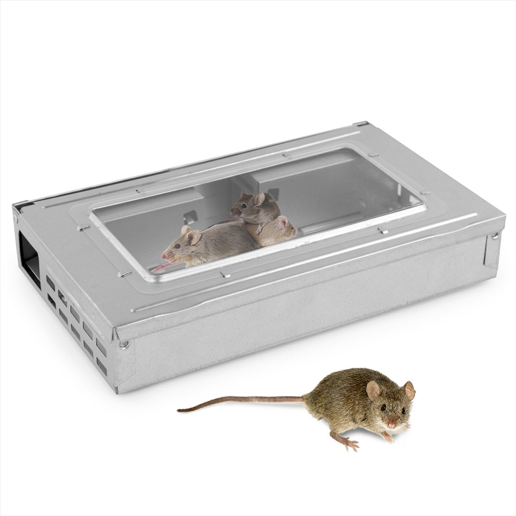 Mouse deals traps uk