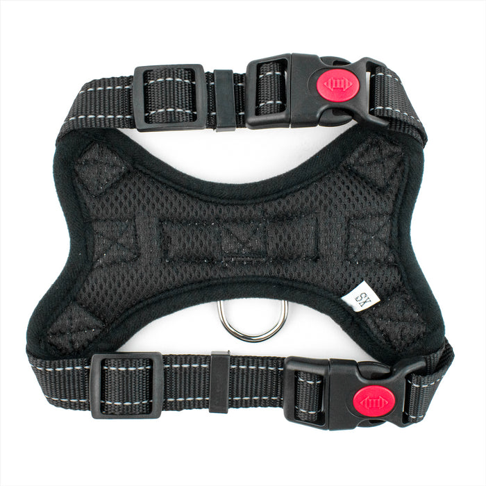 Kong 2024 harness xs